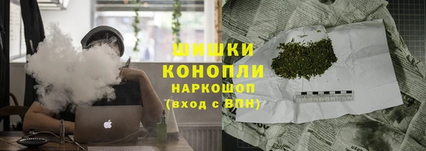 МДПВ Богородск