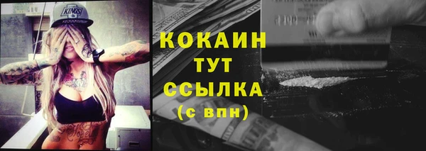 прущие грибы Тобольск