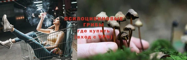 стафф Богородицк