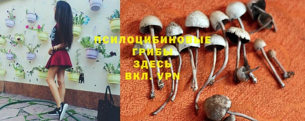стафф Богородицк