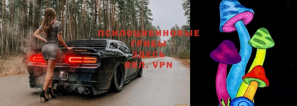 стафф Богородицк