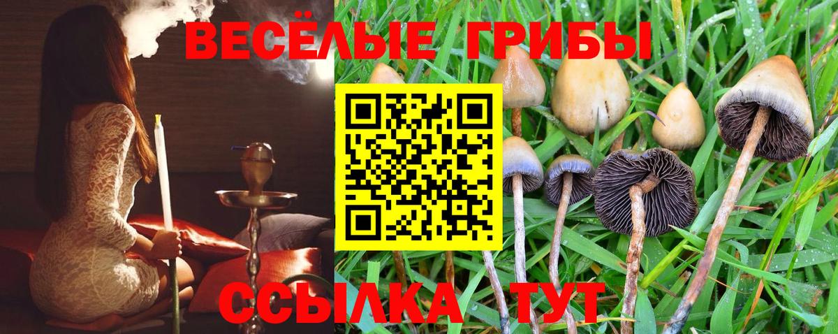 Псилоцибиновые грибы прущие грибы Видное